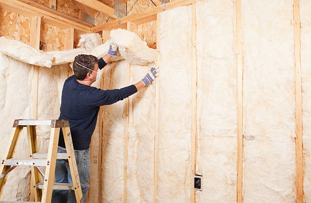 Types of Insulation We Offer in Wayne, PA